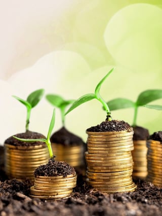 shutterstock_395343313-coins-soil-rz cropped